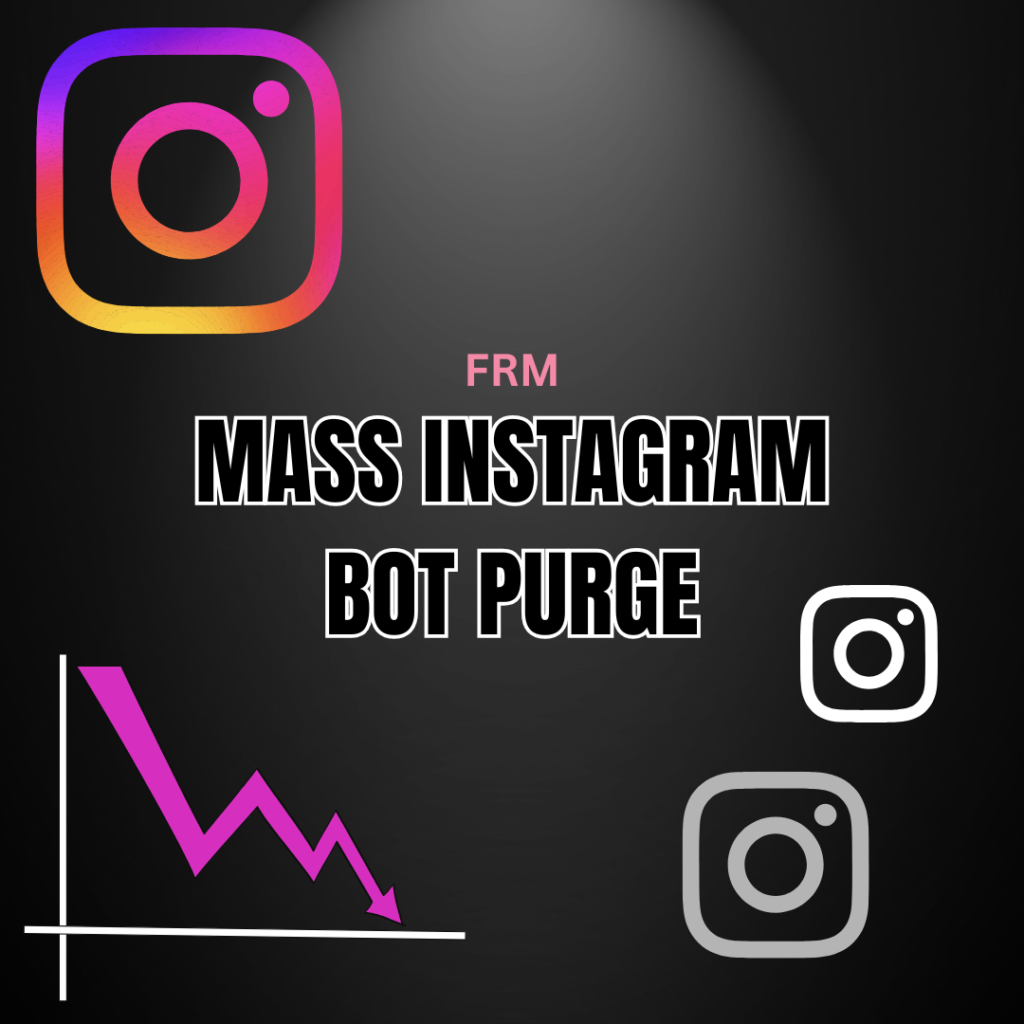 Instagram Purge